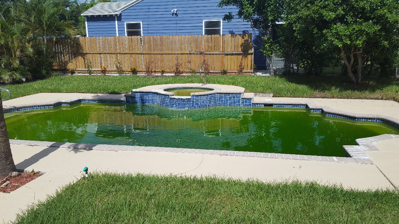 Artech Pools